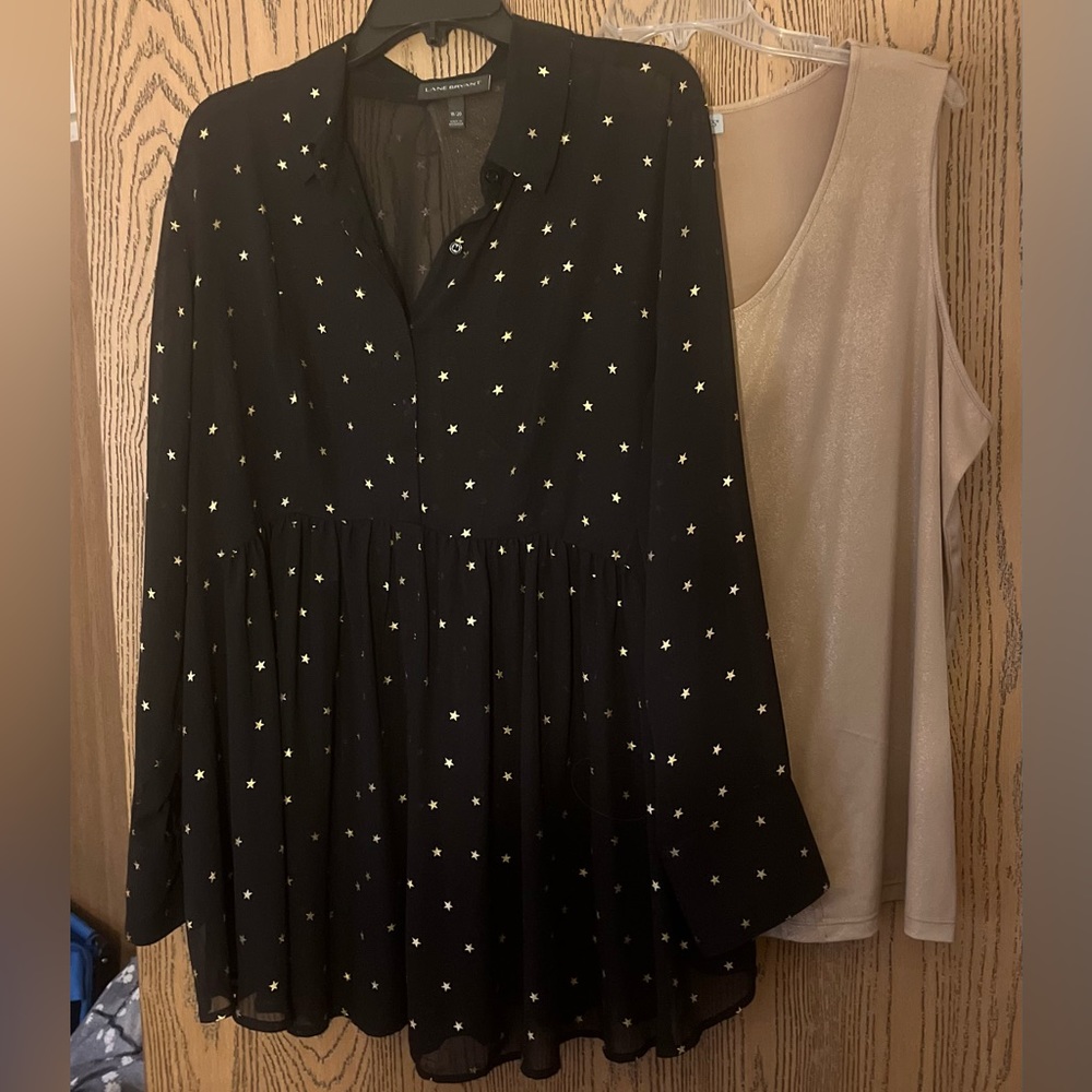 Lane Bryant sheer black blouse. Size 18/20 or XXL. Beautiful & fun to wear.